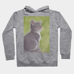 Kitten Hoodie